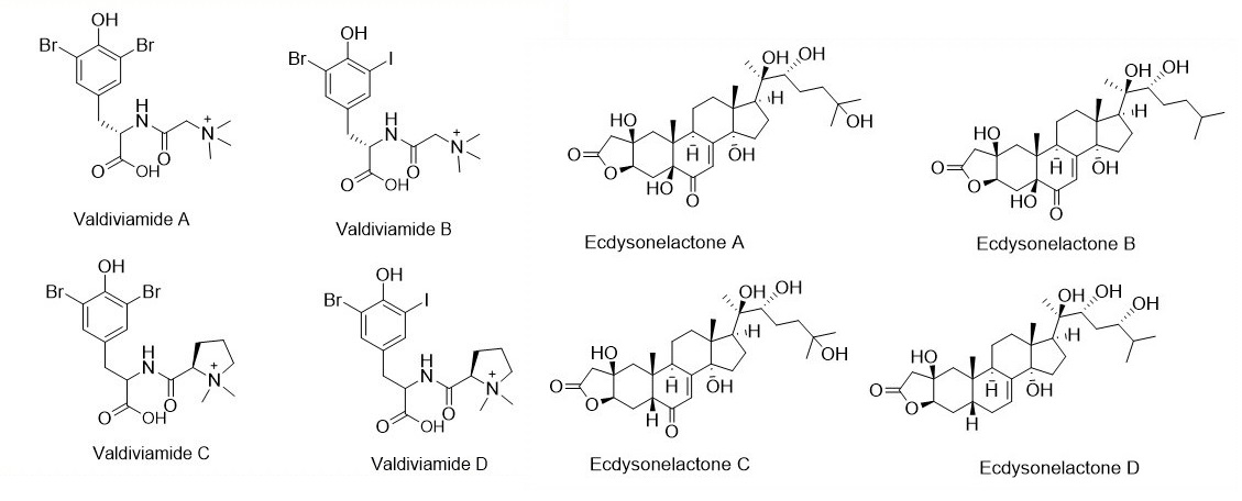 metabolitos identificados