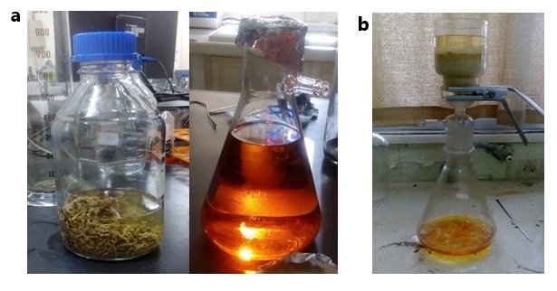 proceso en laboratorio