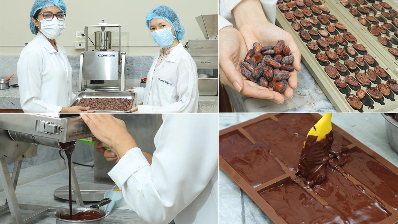 Días previos a cada sesión se preparan las diversas muestras de chocolate.