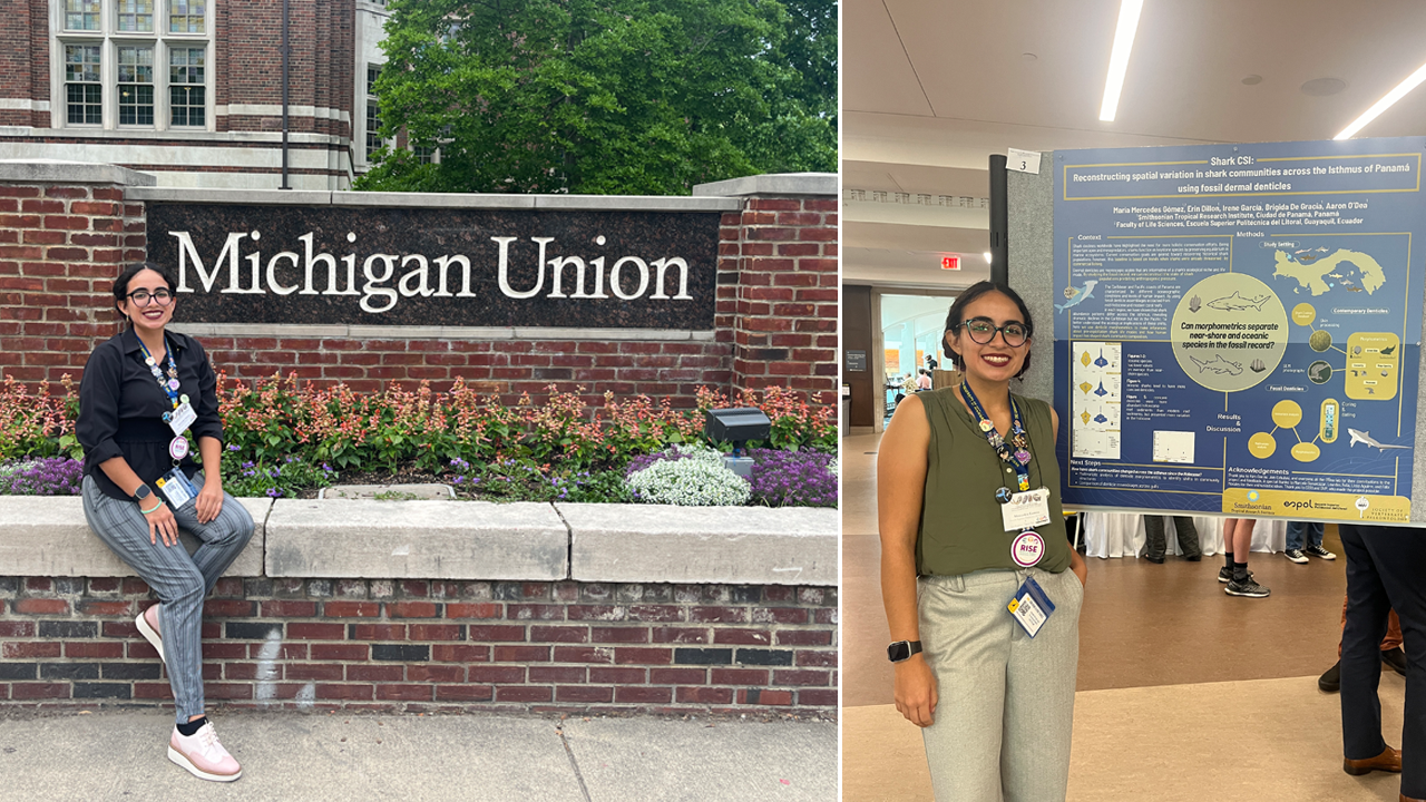 María Mercedes Gómez, politécnica estudiante de Biología que realiza pasantías en el Instituto Smithsonian