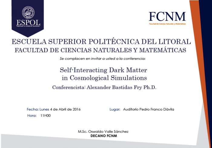 Self- Interacting Dark Matter